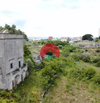 Foto annuncio 10