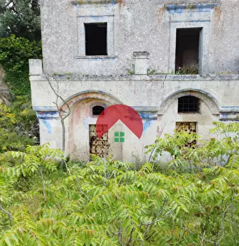 Foto annuncio 12