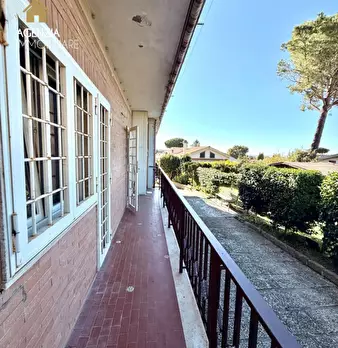 Foto annuncio 9