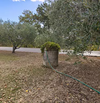 Foto annuncio 5
