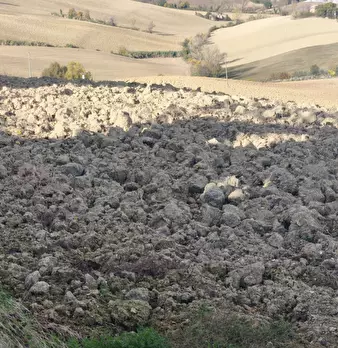 Foto annuncio 31