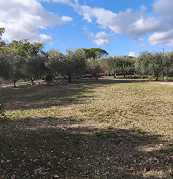 Foto annuncio 32