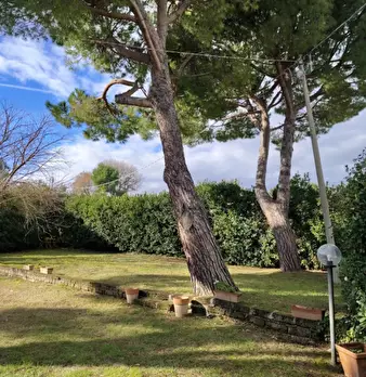 Foto annuncio 24