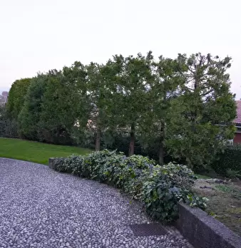 Foto annuncio 30