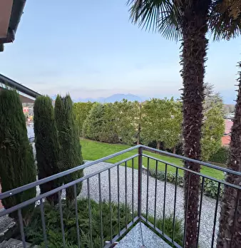 Foto annuncio 34