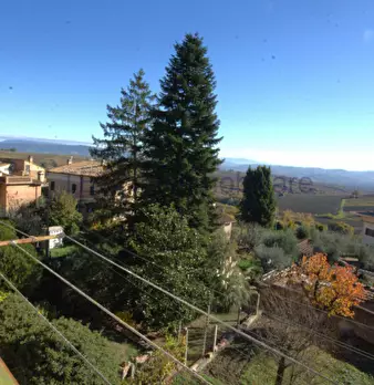 Foto annuncio 19