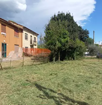 Foto annuncio 5