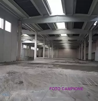 Foto annuncio 12