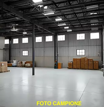 Foto annuncio 5