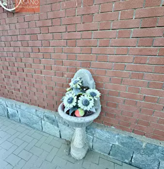 Foto annuncio 31