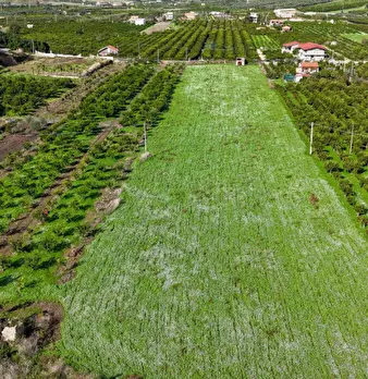 Foto annuncio 4