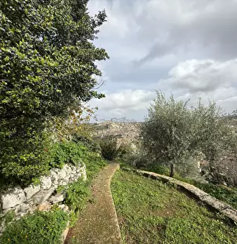 Foto annuncio 33