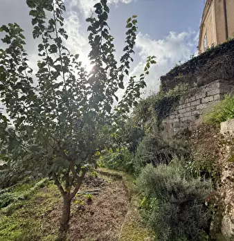Foto annuncio 58