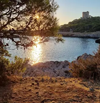 Foto annuncio 43