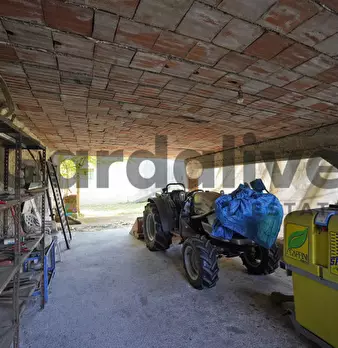 Foto annuncio 23