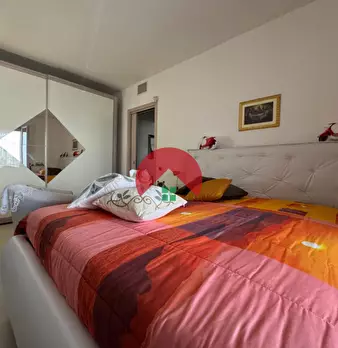 Foto annuncio 11