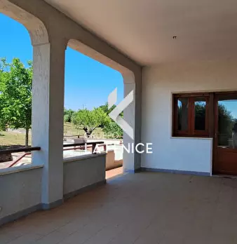 Foto annuncio 31