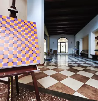 Foto annuncio 13