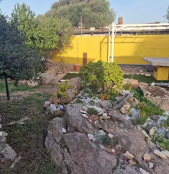 Foto annuncio 23