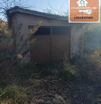 Foto annuncio 2