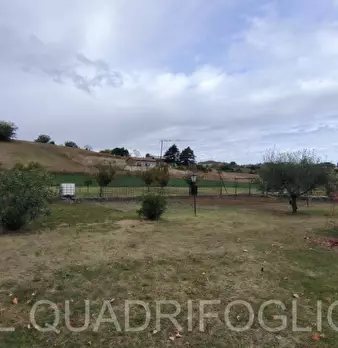 Foto annuncio 15