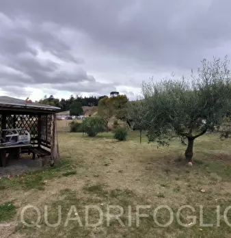 Foto annuncio 16