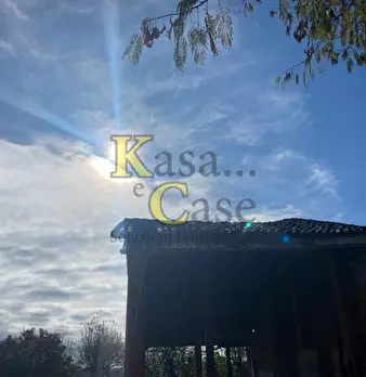 Foto annuncio 28
