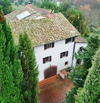 Foto annuncio 7
