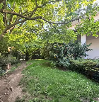 Foto annuncio 32