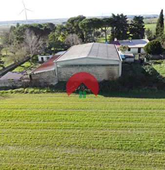 Foto annuncio 26