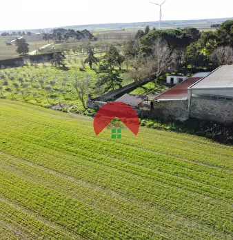 Foto annuncio 27
