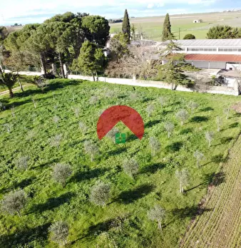 Foto annuncio 30