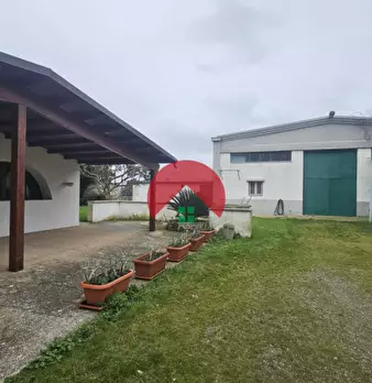 Foto annuncio 36