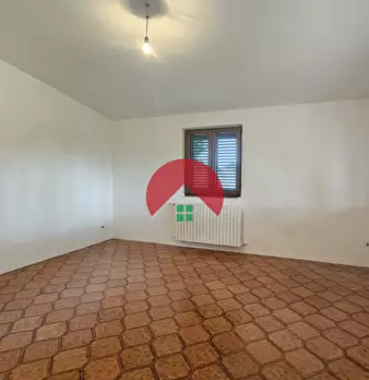 Foto annuncio 41