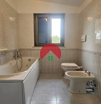 Foto annuncio 44