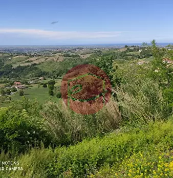 Foto annuncio 6