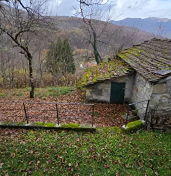 Foto annuncio 33