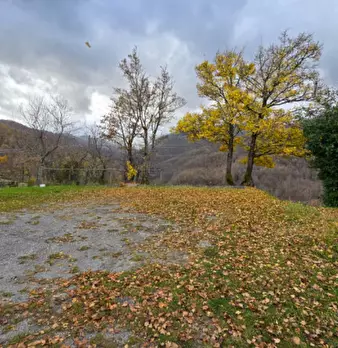 Foto annuncio 34