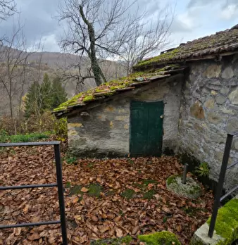 Foto annuncio 36