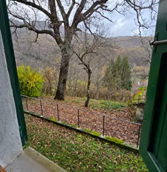 Foto annuncio 38