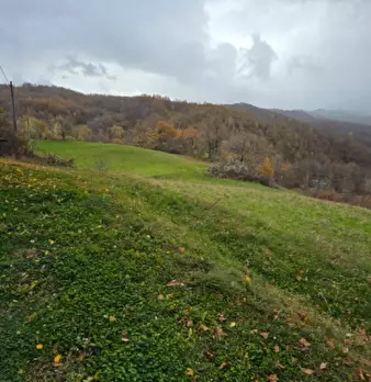 Foto annuncio 39