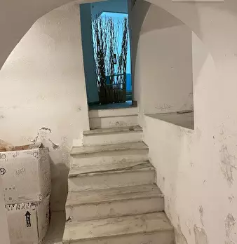 Foto annuncio 12