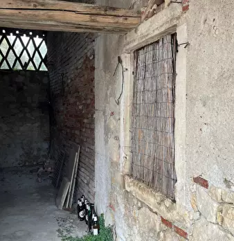 Foto annuncio 46