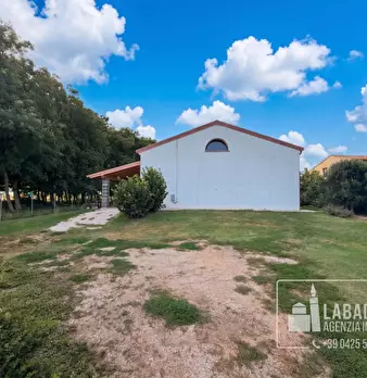 Foto annuncio 41