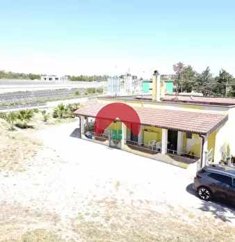Foto annuncio 13
