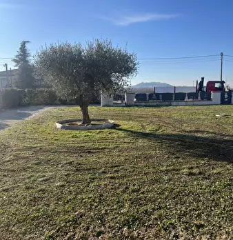 Foto annuncio 5