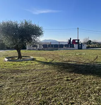 Foto annuncio 6