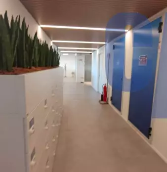 Foto annuncio 8