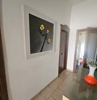 Foto annuncio 11