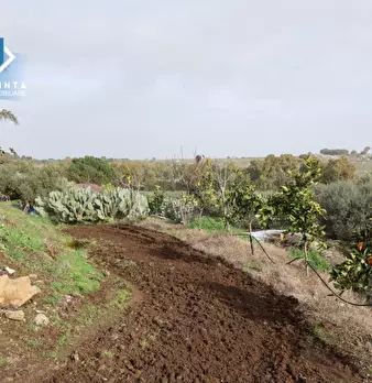 Foto annuncio 4